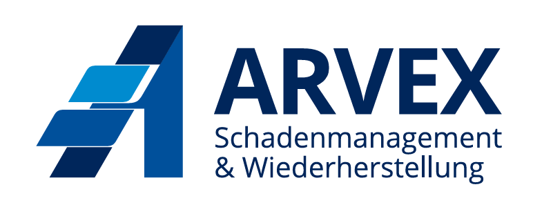 arvex logo png